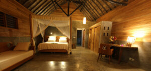 Gallery Thumbnail 10