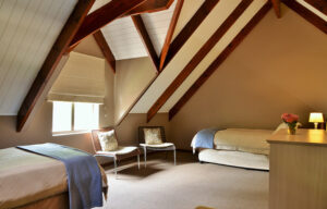 Gallery Thumbnail 15