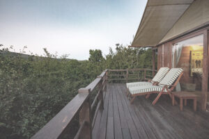 Gallery Thumbnail 5