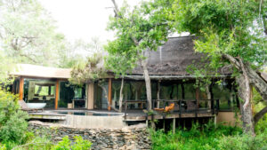 Gallery Thumbnail 1