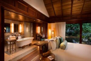 Gallery Thumbnail 12