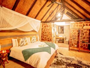 Gallery Thumbnail 15