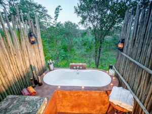 Gallery Thumbnail 16