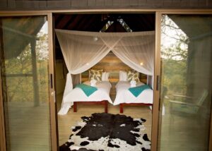 Gallery Thumbnail 14